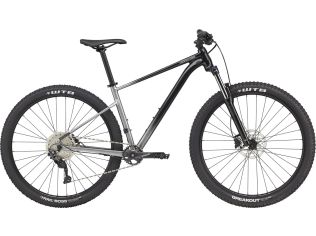 Bicicleta MTB Cannondale Trail SL 4 2021 gray